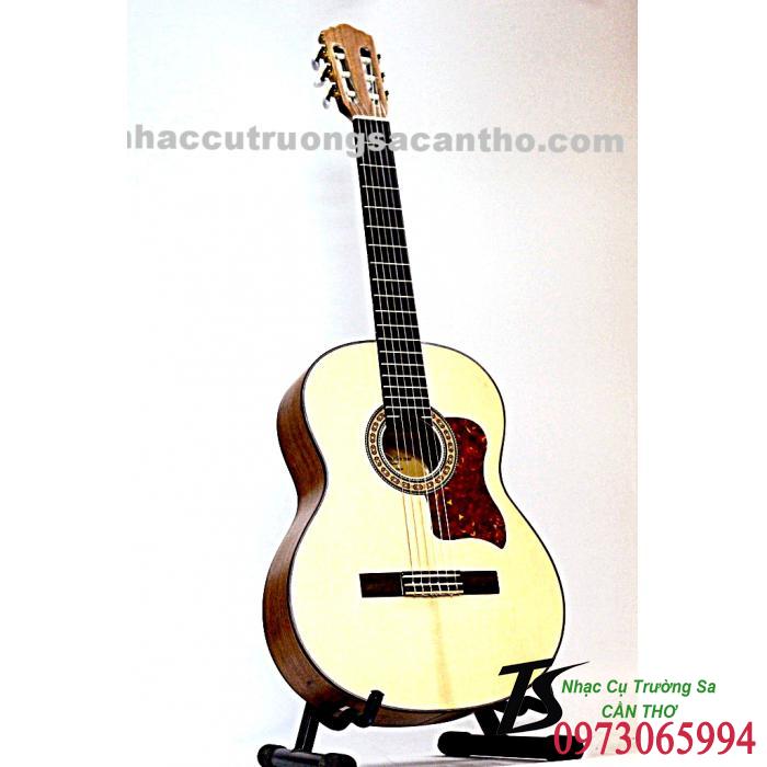 Guitar Classic HD220